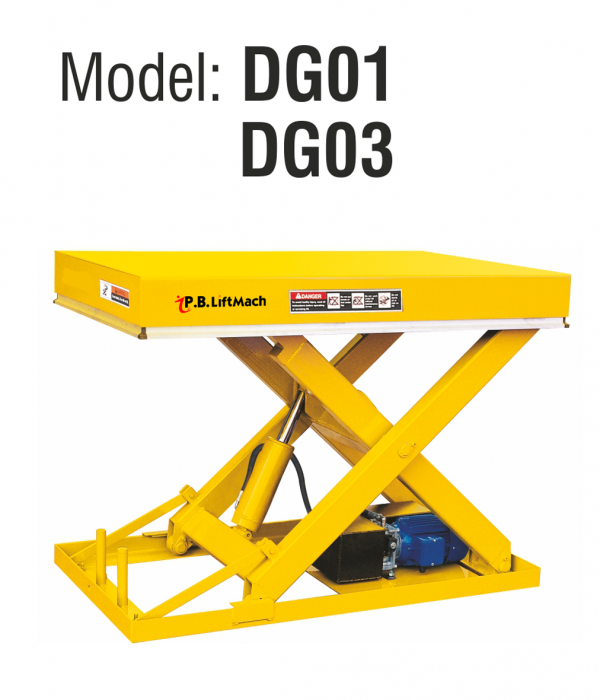 DG DGS